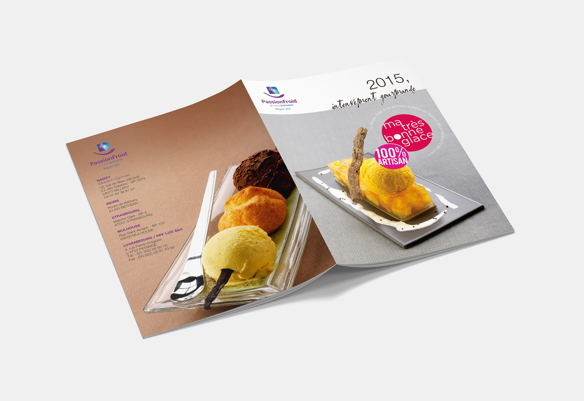 brochure Passion Froid Groupe Pomona - Millery